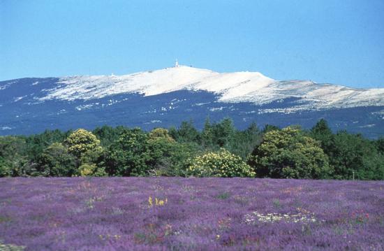 le mont ventoux