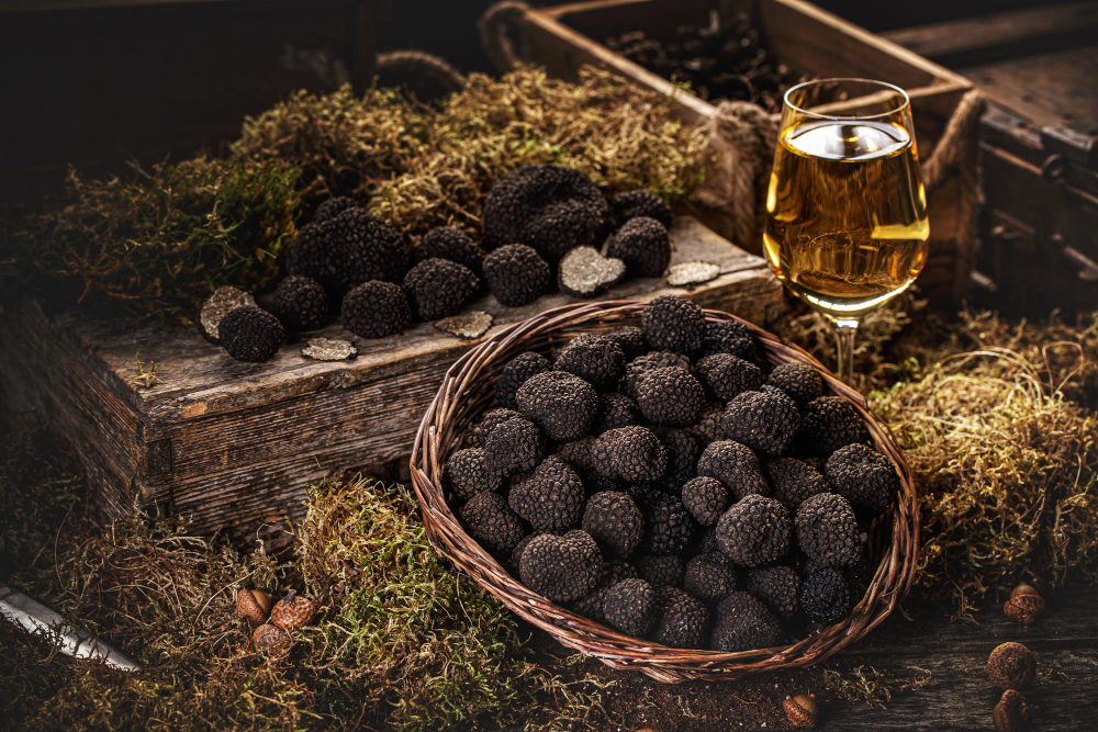 L'Hiver autour de la Truffe